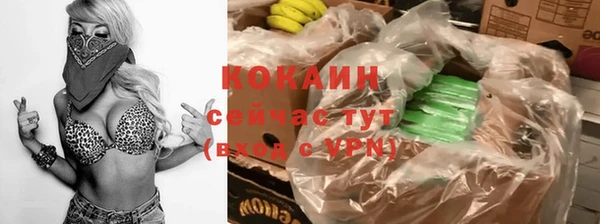 дживик Абинск