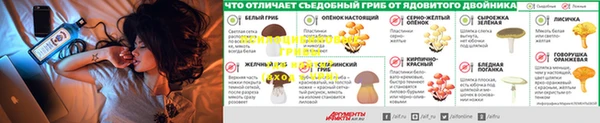 дживик Абинск