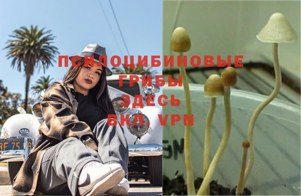 эйфоретик Абдулино