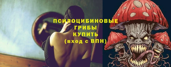 дживик Абинск