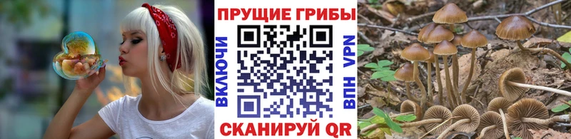 Галлюциногенные грибы прущие грибы  наркошоп  Горбатов 